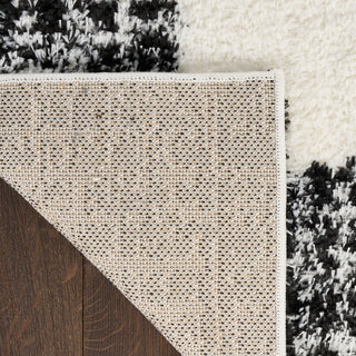 Nourison Home - Pacific Shag Ivory/Black Area Rug PCS02