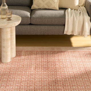 The Rug Corner Nourison Home Nordic NRC03 BRKIV Area Rugs  