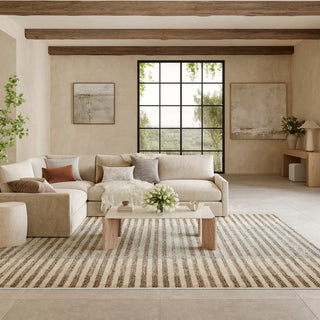 Nourison Home - Nordic Ivory/Blue Area Rug NRC15