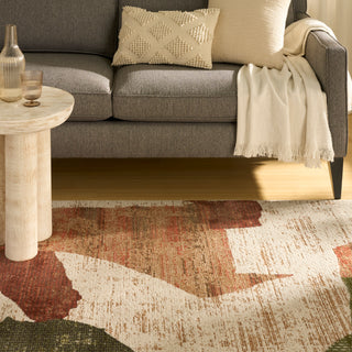 The Rug Corner Nourison Home Nordic NRC18 BGMTC Area Rugs  