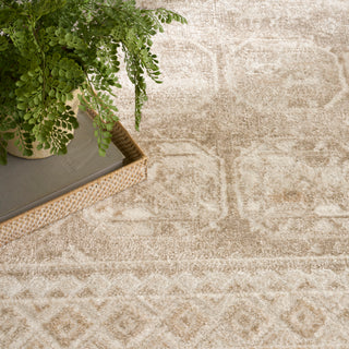 The Rug Corner Nourison Home Dekor DEK01 CRMBG Area Rugs  