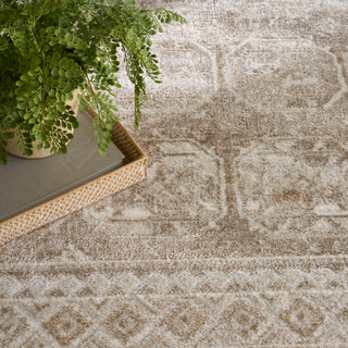 The Rug Corner Nourison Home Dekor DEK01 IVTAU Area Rugs  
