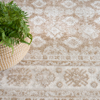 The Rug Corner Nourison Home Dekor DEK02 CRMBG Area Rugs  