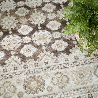 The Rug Corner Nourison Home Dekor DEK02 IVBRN Area Rugs  