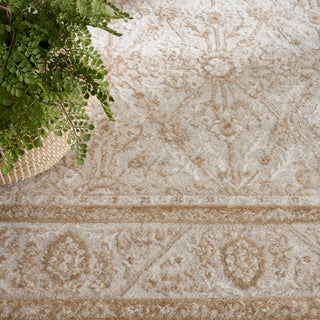 The Rug Corner Nourison Home Nourison Home - Dekor CreamBG Area Rug DEK03  