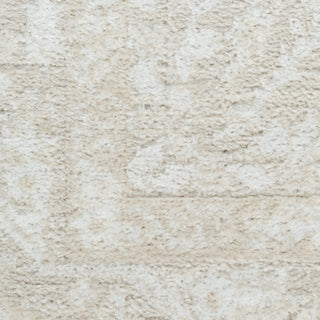 The Rug Corner Nourison Home Dekor DEK03 IVBGE Area Rugs  