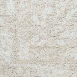 The Rug Corner Nourison Home Dekor DEK03 IVBGE Area Rugs  