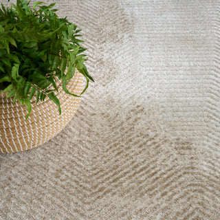 The Rug Corner Nourison Home Dekor DEK04 IVTAU Area Rugs  