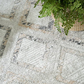 The Rug Corner Nourison Home Nourison Home - Dekor Grey/Champagne CHA Area Rug DEK05  