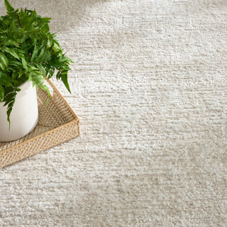 The Rug Corner Nourison Home Nourison Home - Dekor Beige Area Rug DEK07  