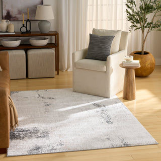 The Rug Corner Nourison Home Dekor DEK07 GYCHA Area Rugs  