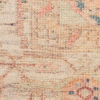 The Rug Corner Nourison Home Vintage Washables VWS15 MULTI Area Rugs  