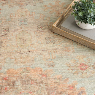 The Rug Corner Nourison Home Vintage Washables VWS16 SAGMT Area Rugs  