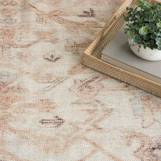 The Rug Corner Nourison Home Nourison Home - Vintage Washables Beige Area Rug VWS17  