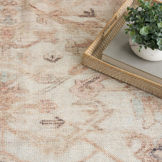 The Rug Corner Nourison Home Nourison Home - Vintage Washables Beige Area Rug VWS17  