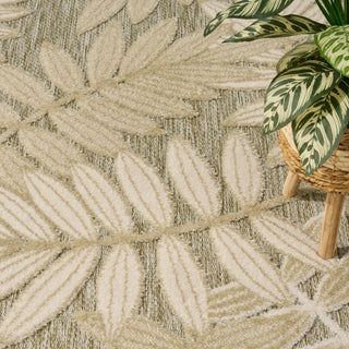 The Rug Corner Nourison Home Aloha ALH18 IVSAG Area Rugs  