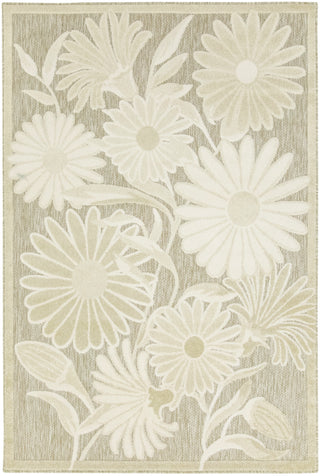 The Rug Corner Nourison Home Nourison Home - Aloha Ivory/Sage Area Rug ALH33  