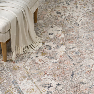 The Rug Corner Nourison Home Antique Fusion ANF02 IVMTC Area Rugs  