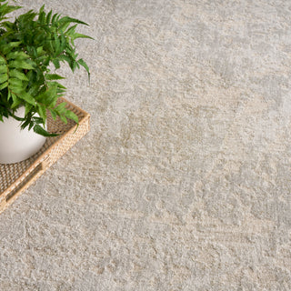 Nourison Home - Envy Ivory/Green Area Rug EVV01