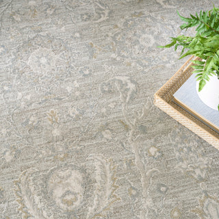 Nourison Home - Envy Grey Area Rug EVV02