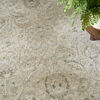The Rug Corner Nourison Home Envy EVV04 TAUPE Area Rugs  