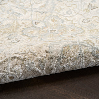 The Rug Corner Nourison Home Envy EVV04 TAUPE Area Rugs  