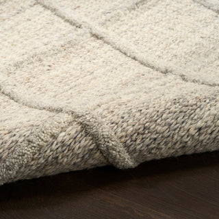 Pure Framework FRA01 SILVR Area Rugs