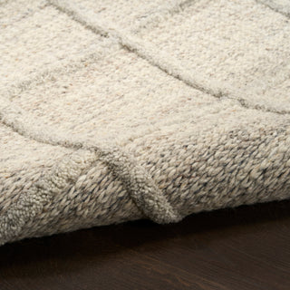 Pure Framework FRA01 SILVR Area Rugs
