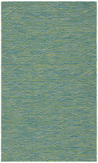 The Rug Corner Nourison Home Washable Solutions WSL01 BLGRN Area Rugs  