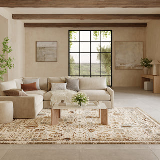 The Rug Corner Nourison Home Pardis PRD01 IVRUS Area Rugs  