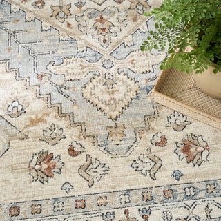 The Rug Corner Nourison Home Pardis PRD02 BLTAU Area Rugs  