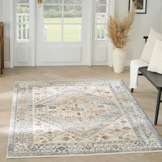 The Rug Corner Nourison Home Pardis PRD02 BLTAU Area Rugs  