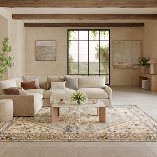 The Rug Corner Nourison Home Pardis PRD02 BLTAU Area Rugs  
