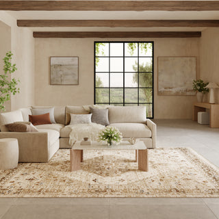 The Rug Corner Nourison Home Pardis PRD02 IVTAU Area Rugs  