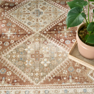 Nourison Home - Pardis Rust Area Rug PRD04