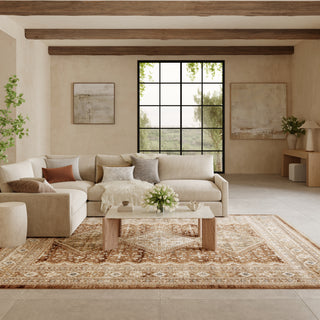 Nourison Home - Pardis Rust Area Rug PRD04