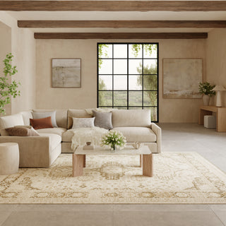 The Rug Corner Nourison Home Pardis PRD05 IVBGE Area Rugs  
