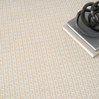 The Rug Corner DKNY Atlantic Avenue AAV01 BEIGE Area Rugs  