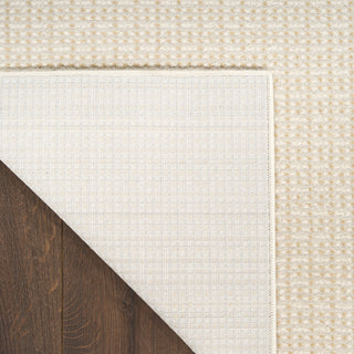 The Rug Corner DKNY Atlantic Avenue AAV01 BEIGE Area Rugs  
