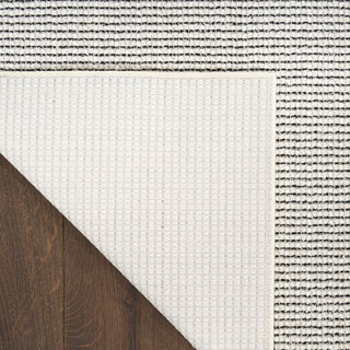 Atlantic Avenue AAV01 IVBLK Area Rugs