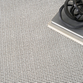 Atlantic Avenue AAV01 IVBLK Area Rugs