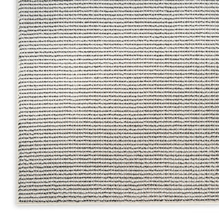 Atlantic Avenue AAV01 IVBLK Area Rugs