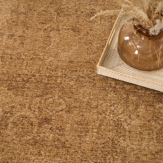 Pure Shades SAD01 LATTE Area Rugs