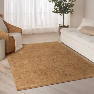 Pure Shades SAD01 LATTE Area Rugs