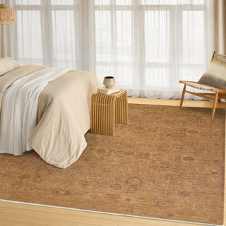 Pure Shades SAD01 LATTE Area Rugs