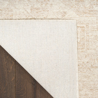 Pure Shades SAD02 BEIGE Area Rugs
