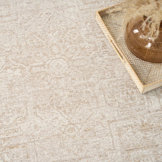 Pure Shades SAD02 BEIGE Area Rugs