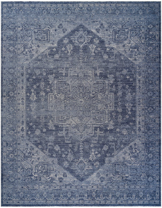 The Rug Corner DKNY Pure Shades SAD02 BLUE Area Rugs  