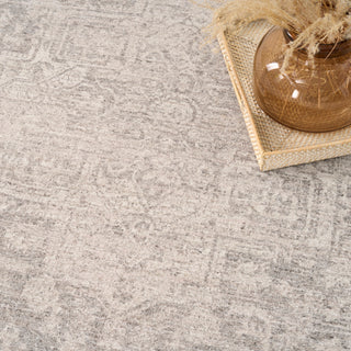 Pure Shades SAD02 GREY Area Rugs