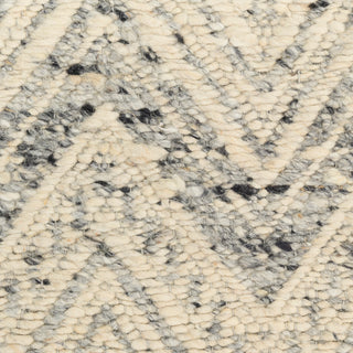 The Rug Corner DKNY Pure Purl PUU01 DENIV Area Rugs  